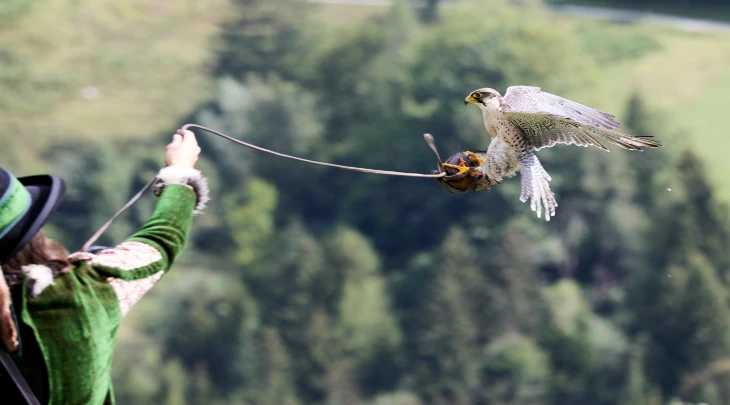 Almaty Fun and Sun 6